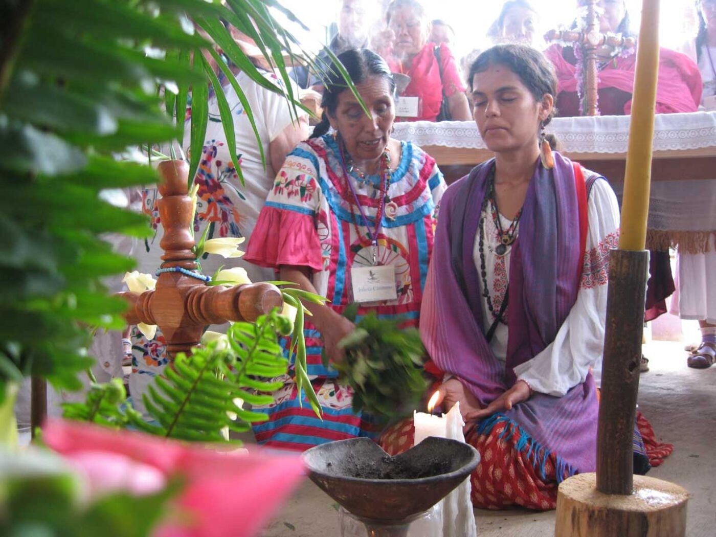 Sacred Talks: The Mazatec Path of Mushroom Medicine | Online Event